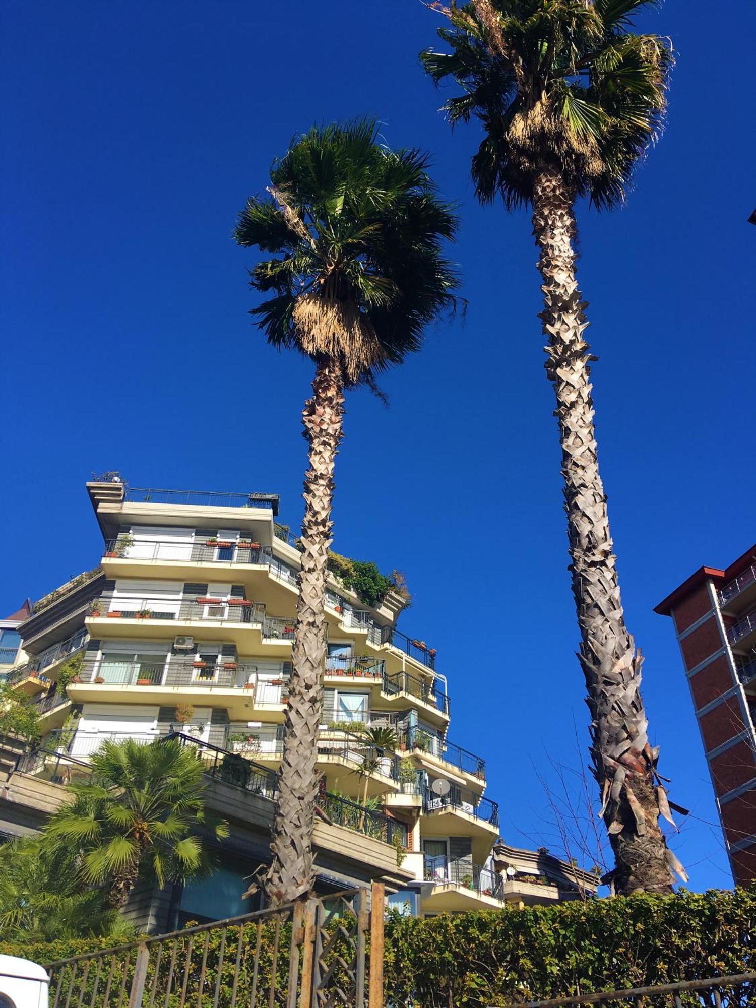 Hotel Seafront In The City à Catane Extérieur photo